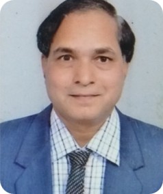 Mr. Narsingh Dhanotiya